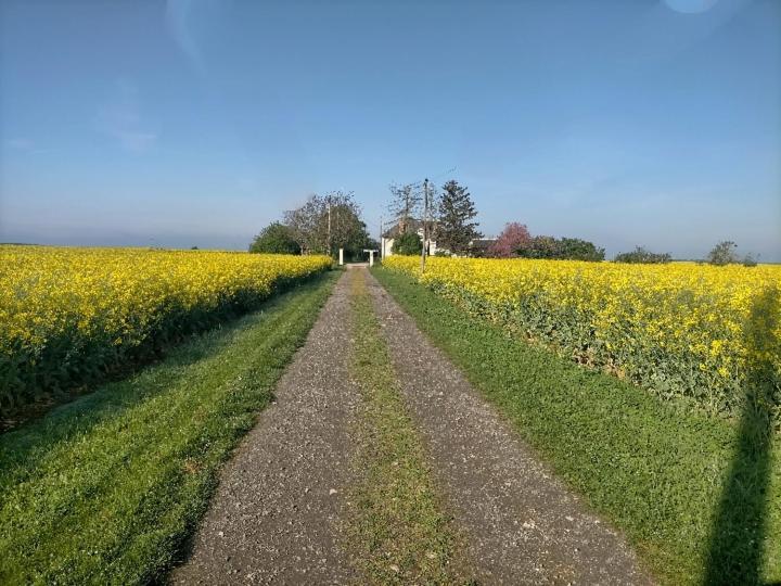Studio " Tournesol " Au Coeur Du Berry Les Bordes Exterior foto